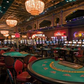 wynn